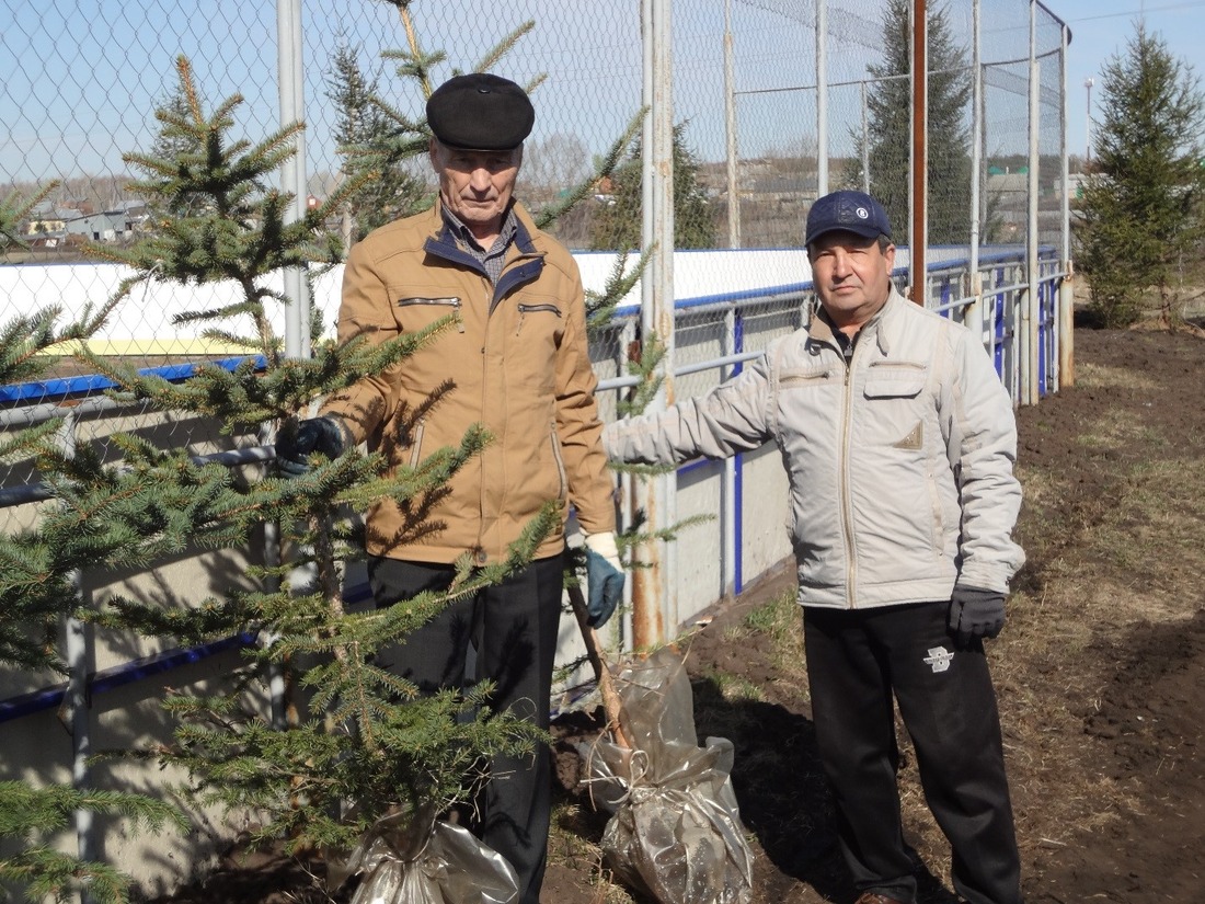 Дюртюлинцы озеленили площадку хоккейной коробки